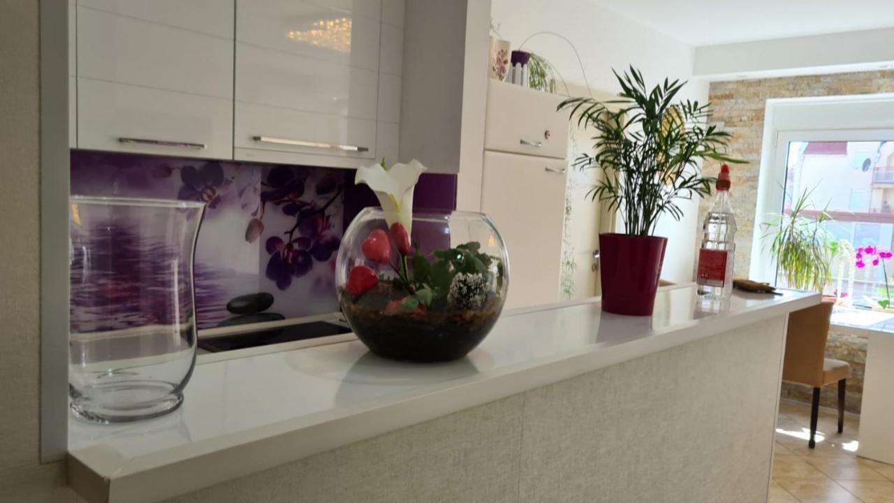 Apartman Anja Lejlighed Stara Pazova Eksteriør billede