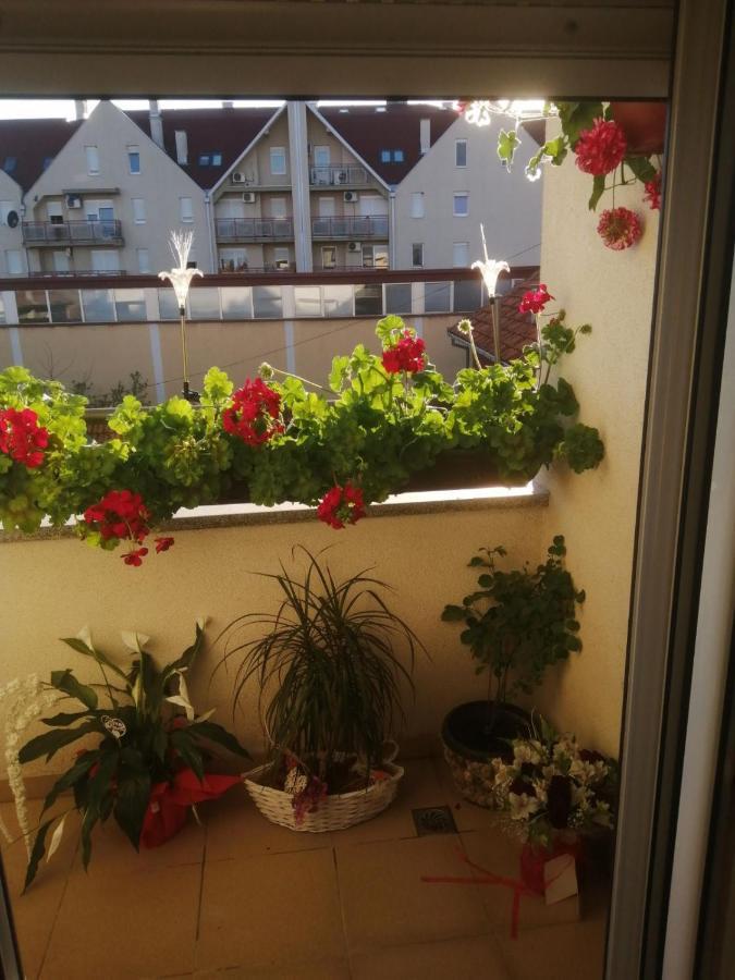 Apartman Anja Lejlighed Stara Pazova Eksteriør billede